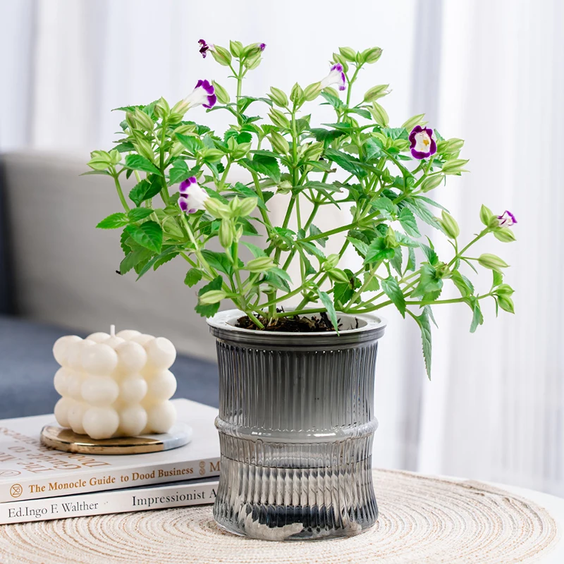 

1pc Plastic Flower Pot Succulent Plant Pot Self Watering Planter Pots Home Tabletop Flower Pot Home Bonsai Decor Garden Decor