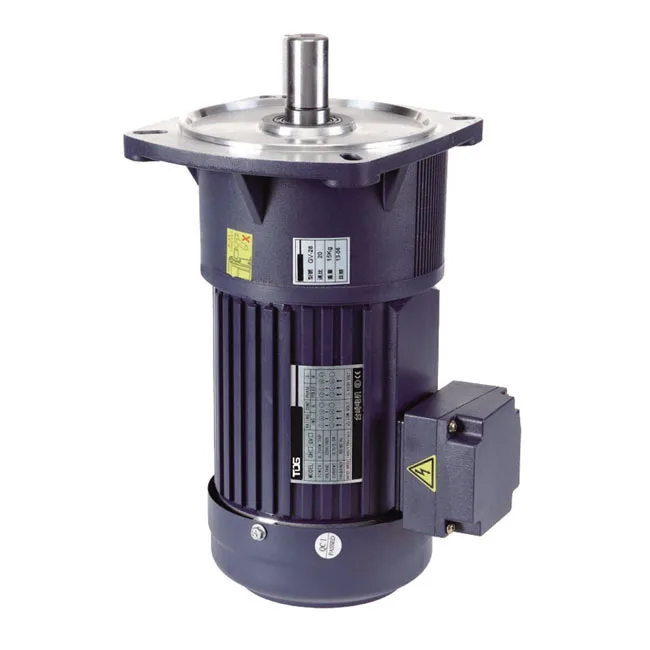 

750W Single Phase Vertical AC Motor Speed Reducer Ratio 30