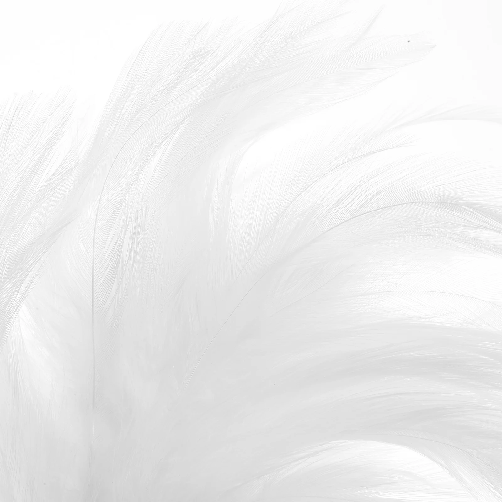 

Headpiece Headband Women Hair Headpiece Accessories Bridal Party Wedding Photography Prom Birthday