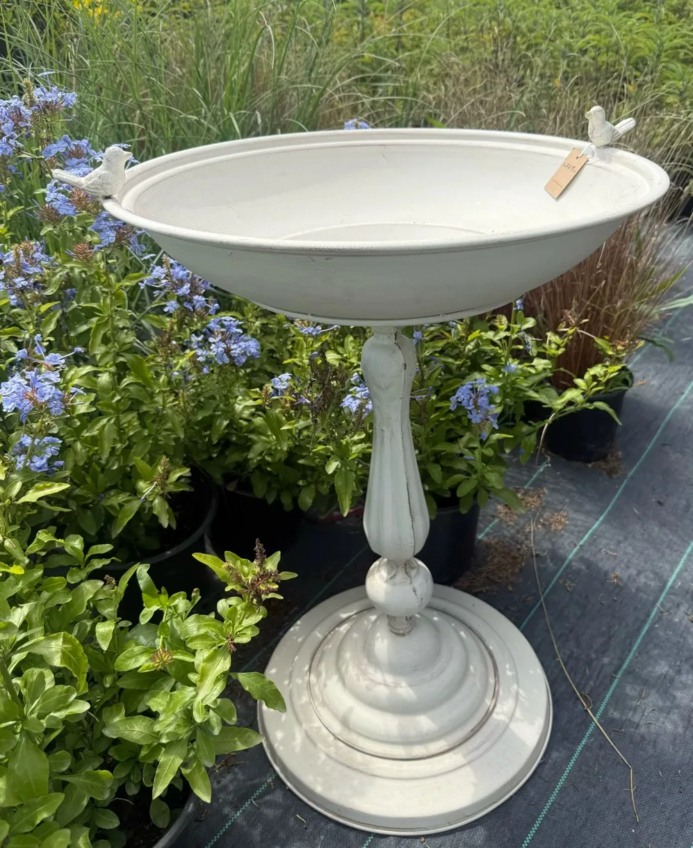 Banho decorativo para pássaros de jardim com detalhes de pássaros, metal branco, 28,3 polegadas de altura x 19,3 polegadas de diâmetro