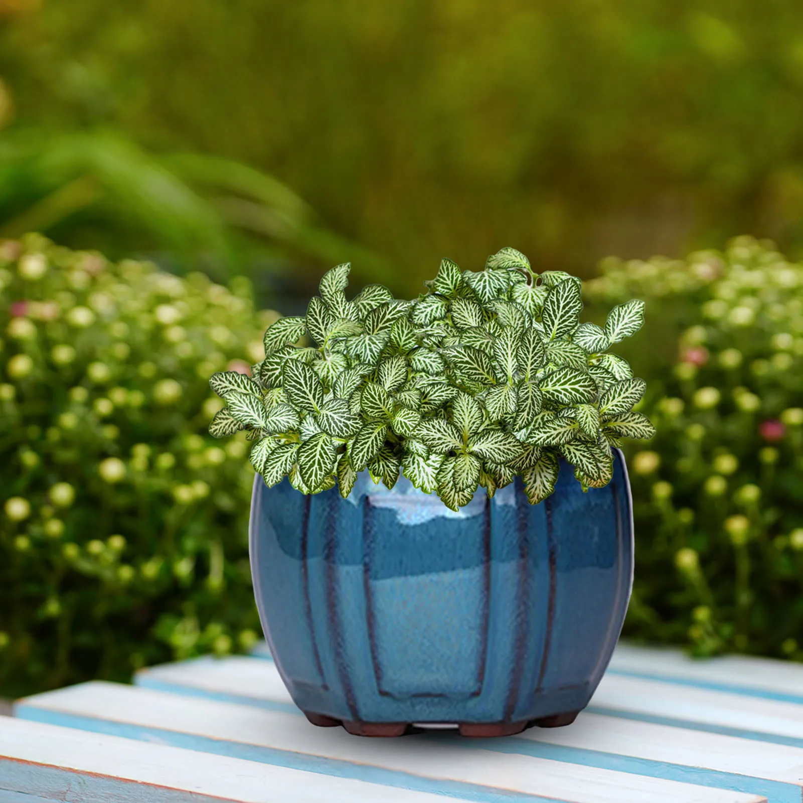 Ceramic Garden Planter Pots Ceramic Plant Pots with Drainage Holes Design for Balcony Living Room Bedroom