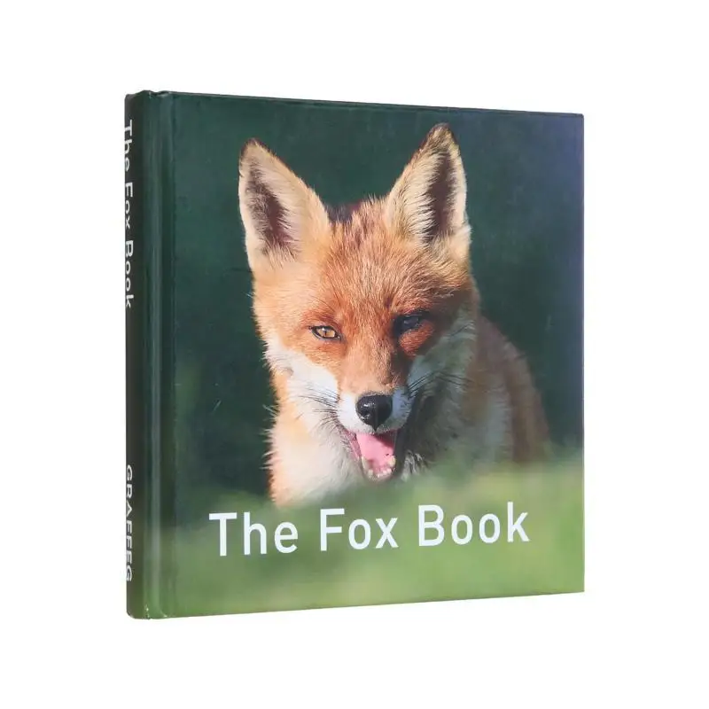 

The Fox Books Russ Jane Graffeg Books 9781910862551 Book