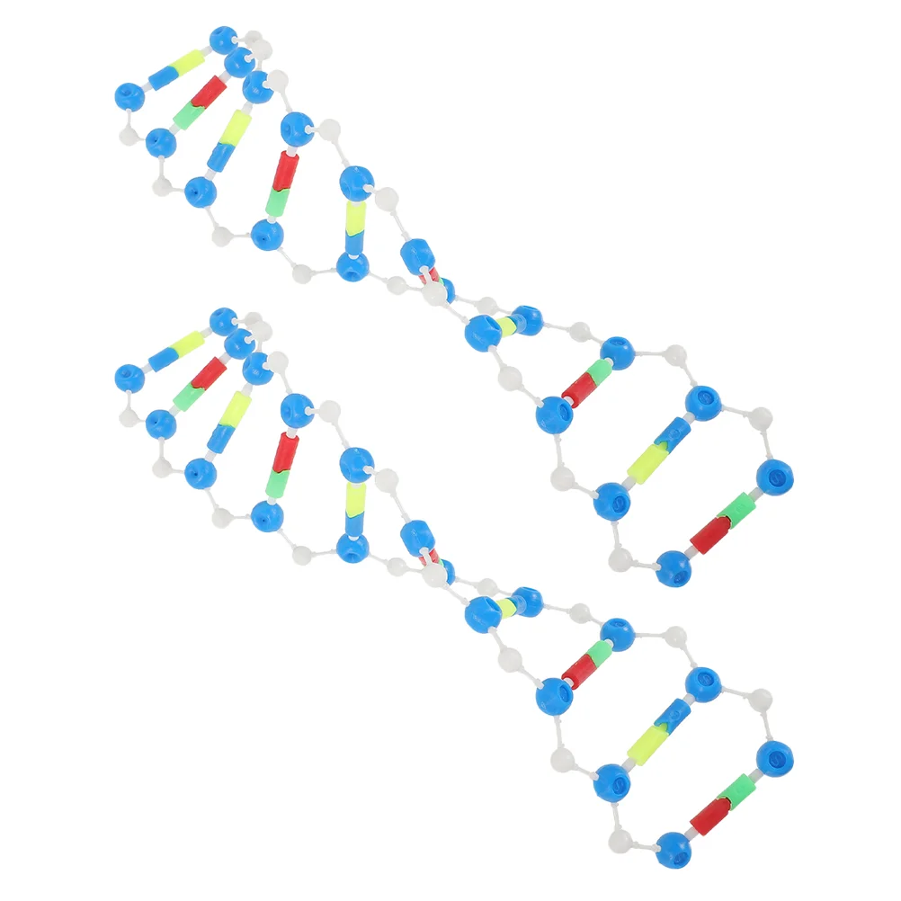 Kit de anstería Dna, modelos de 2 uds., prueba de motor de biología, material didáctico, prueba de juguetes de popularización científica