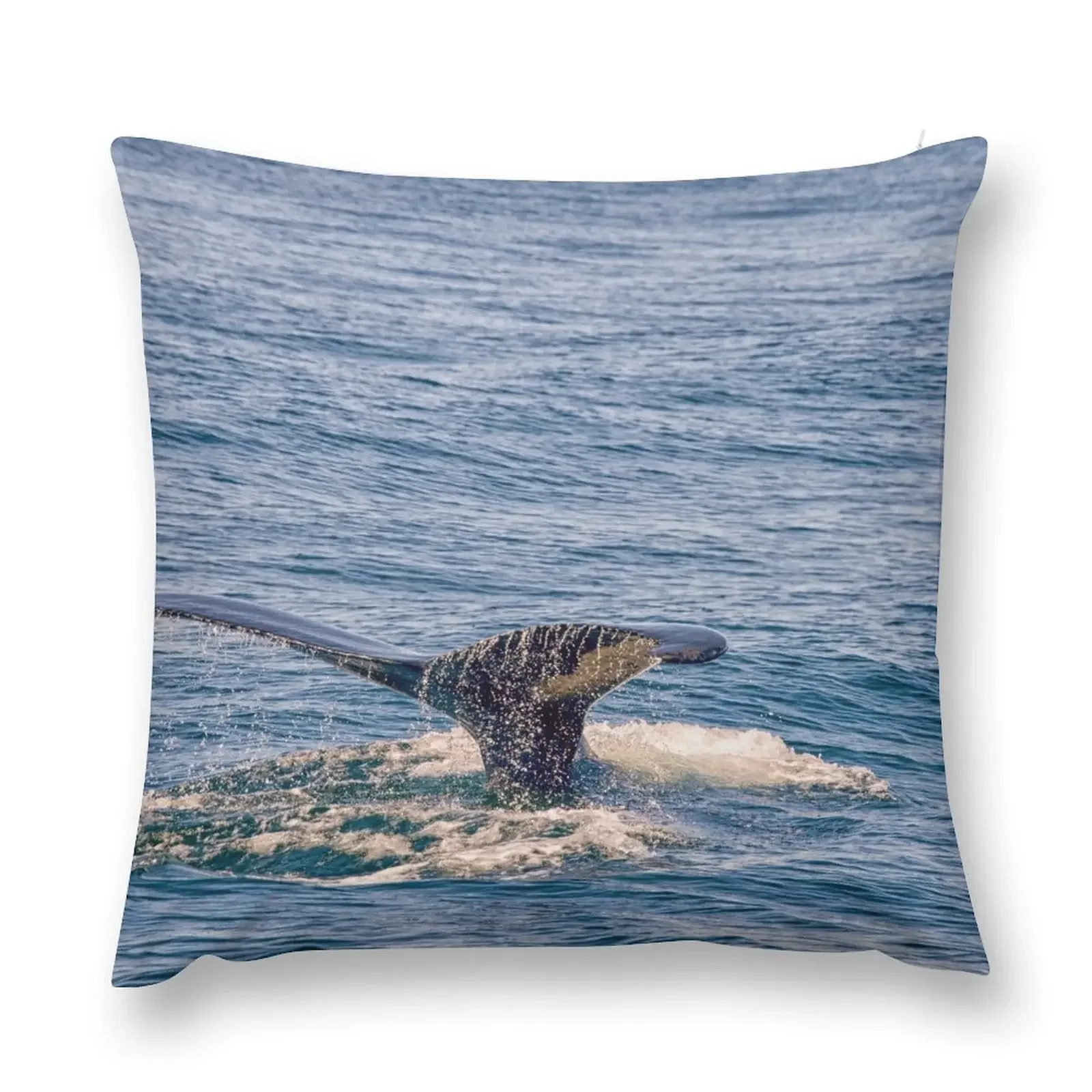 Fin of humpback whale Throw Pillow Christmas Covers Cushion Cover For Sofa Luxury Pillow Cover home decor items pillow