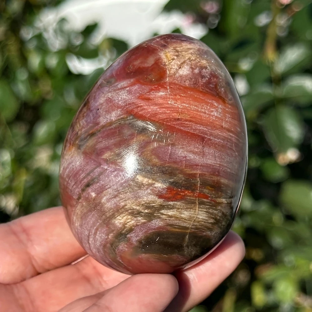 Natural Petrified Wood Egg Ornament, Polished Stone Egg, Mineral Specimen, Energy Home Decor, Gifts for Easter, Helloween