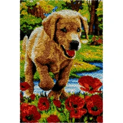 Carpet embroidery Latch Hook Rugs Kits with Pattern Printed Canvas for Adults Knotted carpet kit Tapestry Smyrna package