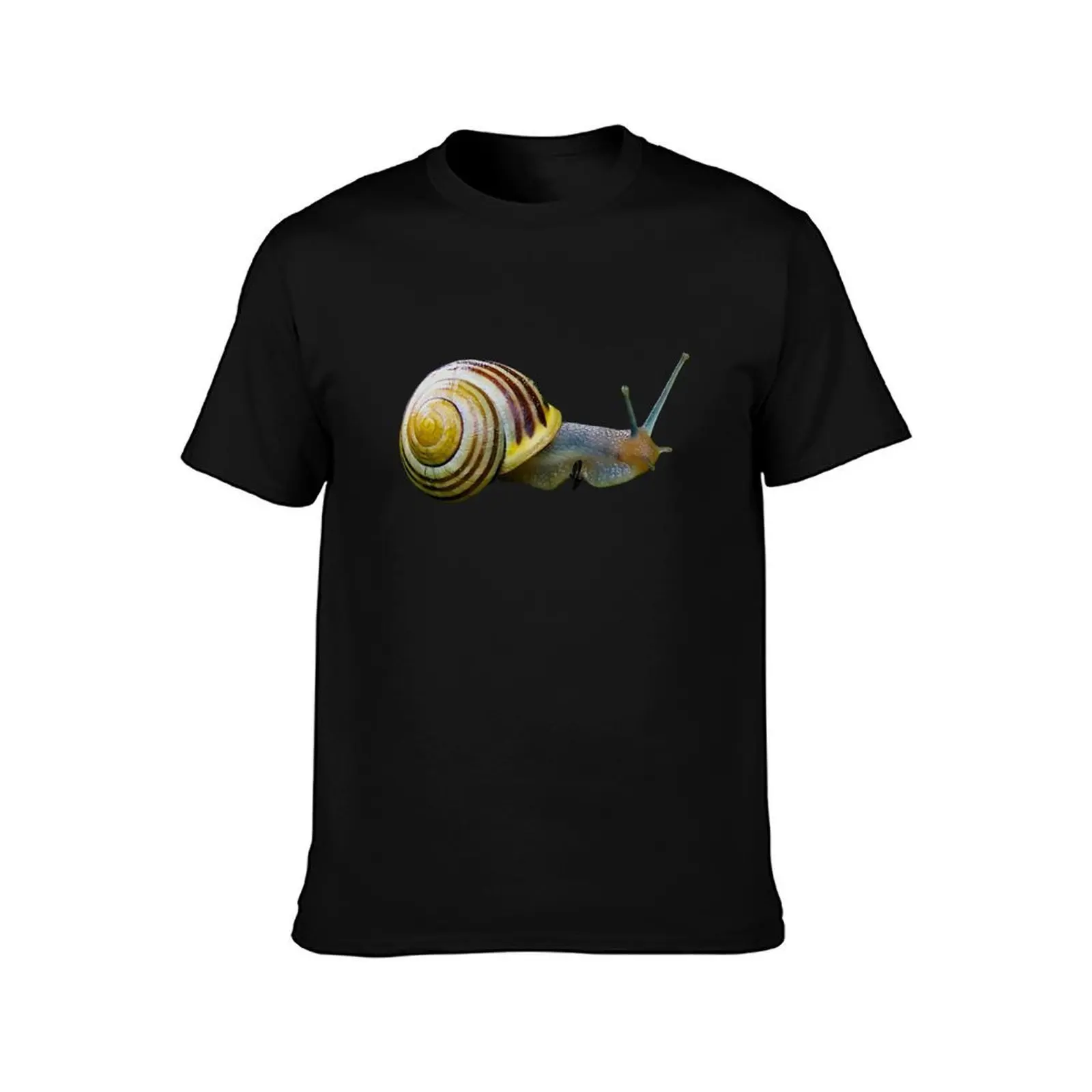 Garden Cone Snail T-Shirt Breathable Workout Short Sleeve Top T-Shirt