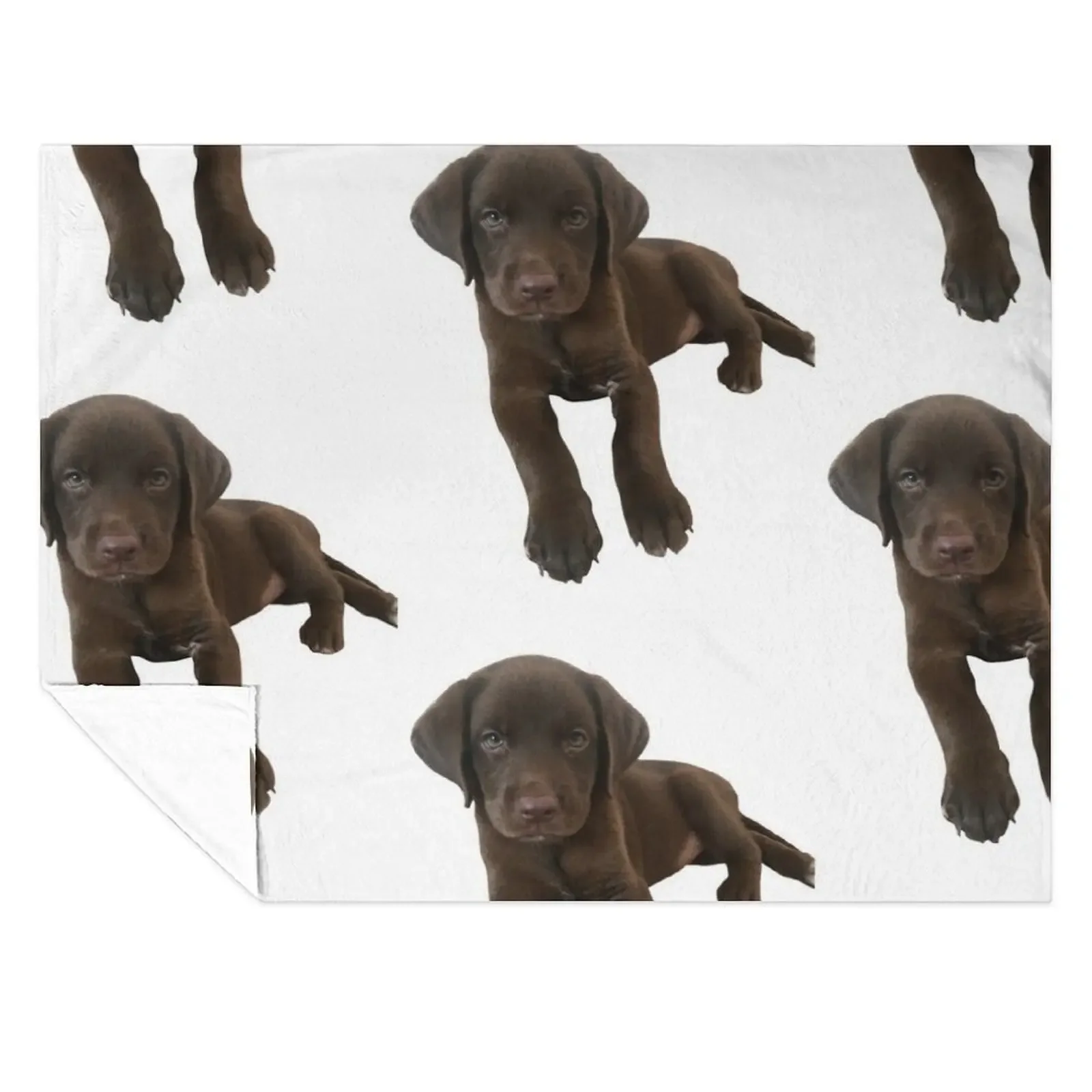 

Chocolate Labrador Throw Blanket Softest Travel Soft Plush Plaid warm for winter Blankets