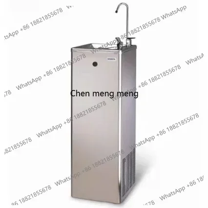 100L Capacity Water Dispenser with Ice Tank, Compressor Cooling, 304 Stainless Steel Direct Drinking Water Machine
