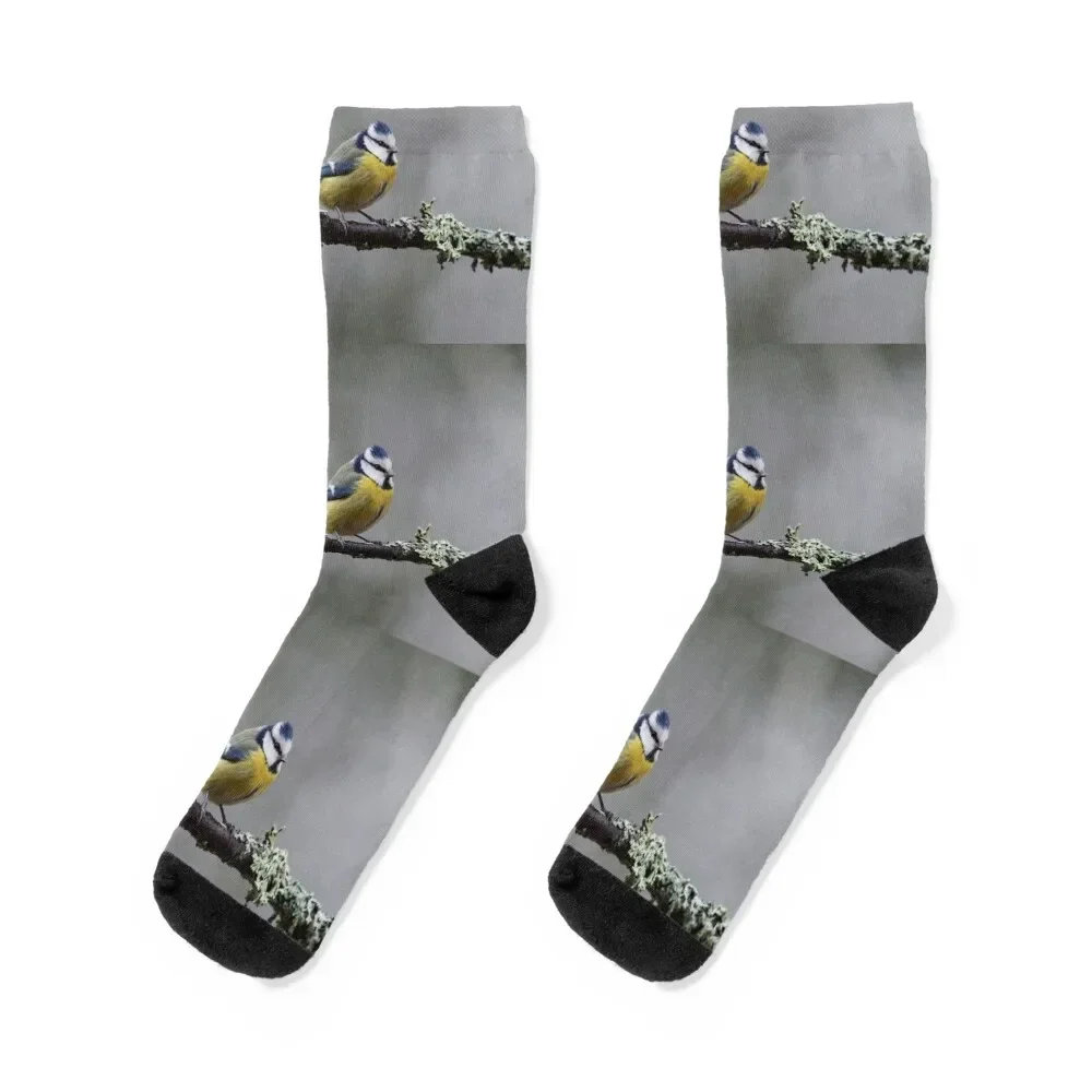 

Eurasian blue tit in November II Socks valentine gift ideas winter custom sports luxury Socks Men Women's