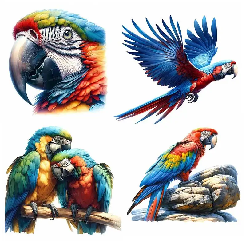 

Colorful Macaw Parrot Car Sticker Waterproof Vinyl Decal on Bumper Rear Window Laptop Self-adhesive Decal Car Accessories Y371
