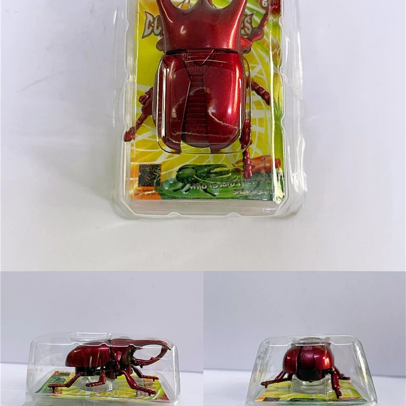Wind Up Realistic Fighting Beetle Clockwork Rhinoceros Ladybug Cicada Educational Toy For Kids And Collectors Play Birthday Gift