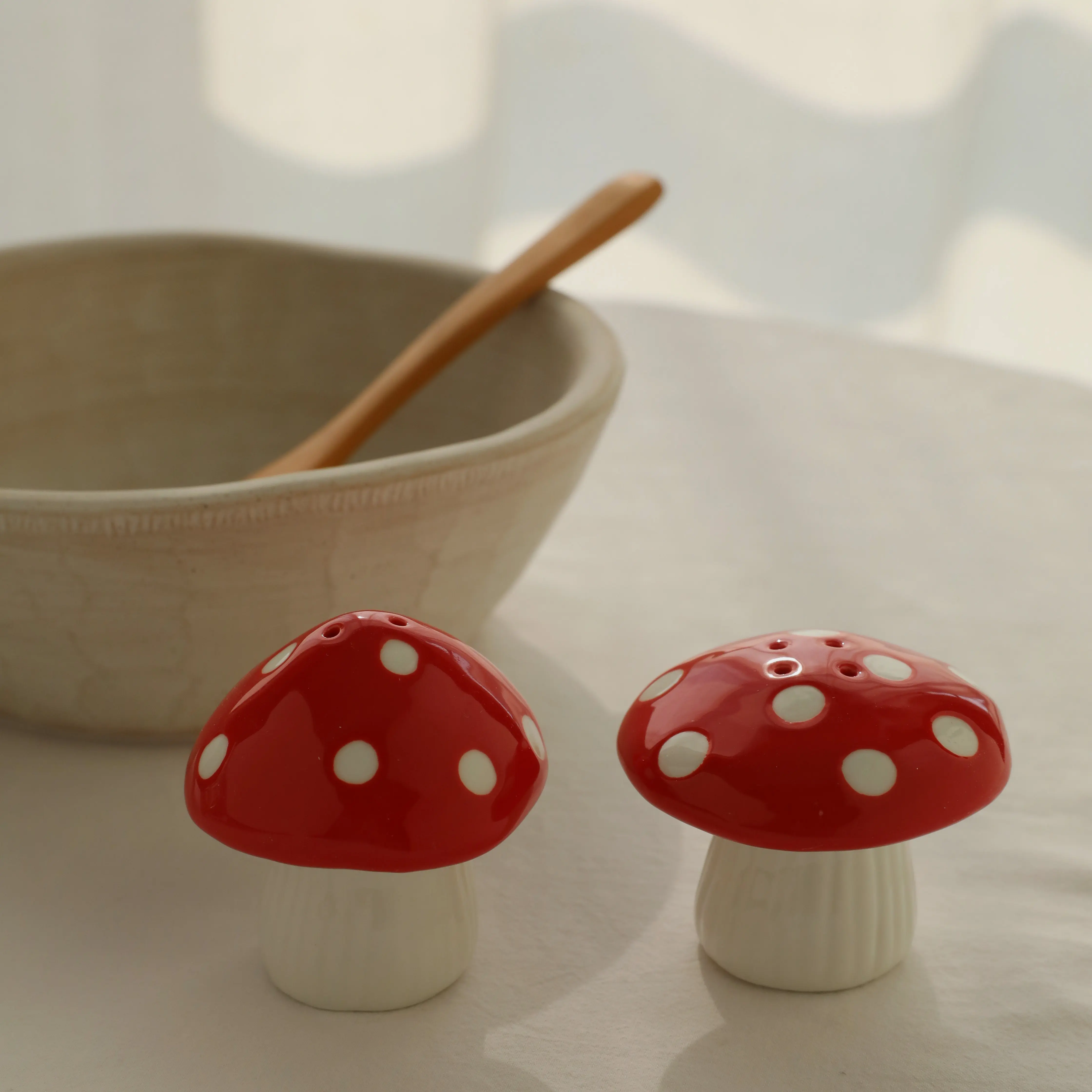 Ceramic Mushroom Salt and Pepper Shaker Set Cute Red White Polka Dot Seasoning Shakers for Kitchen