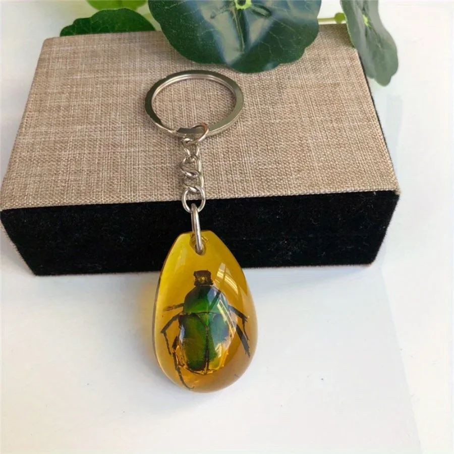 1PC Insect Specimen Amber Keychain Hanging Small Gift Car Key Bag Keychain Hanging Ornament