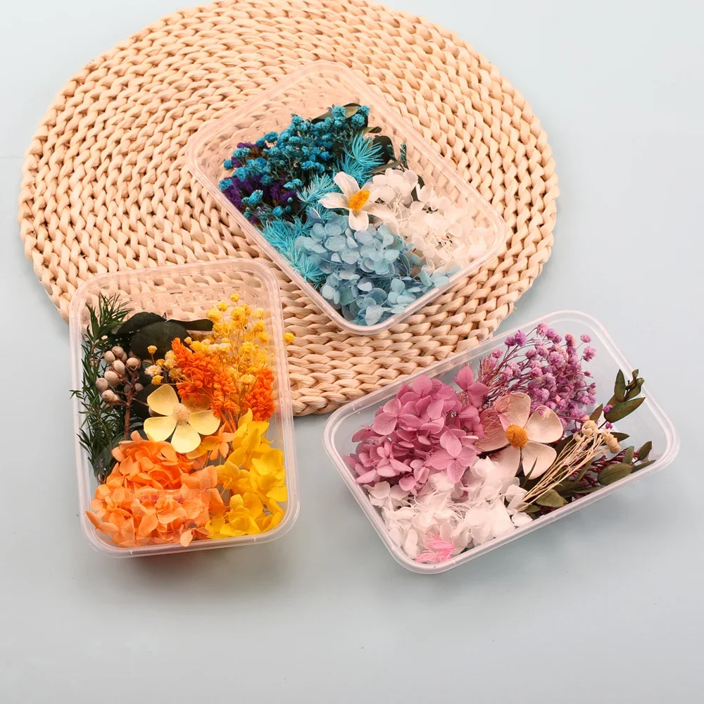 1 Box Natural Real Dried Flowers for Resin Artificial Plants Diy Home Decoration Candle Molds Crafts Tools  Making Accessories