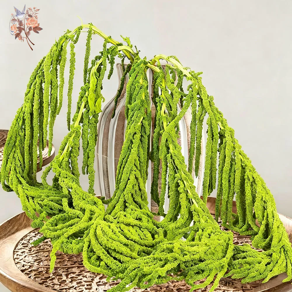 5Pcs Preserved Dried Amaranthus Hanging Flowers Cascading Bouquets Installations Wedding Arch Decor Wall Home Party Arrangements