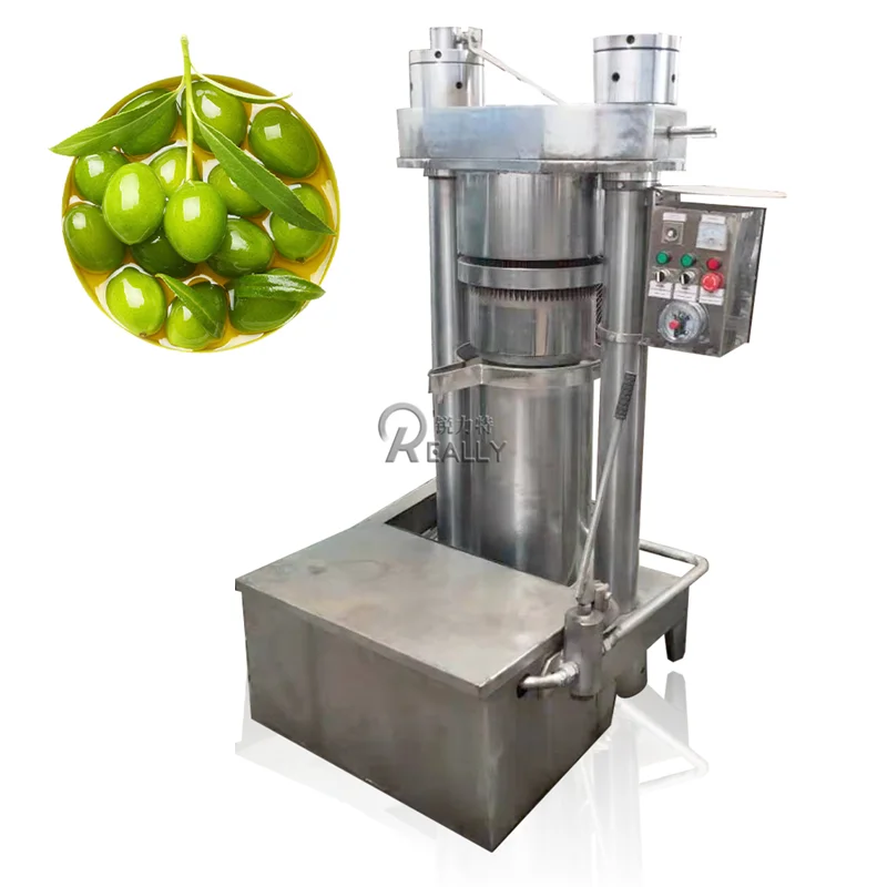 Automatic Hot-selling Palm Cold Oil Press Machine Pressed Hemp Making Machine Peanut Extractor Presser For All Seeds And Nuts