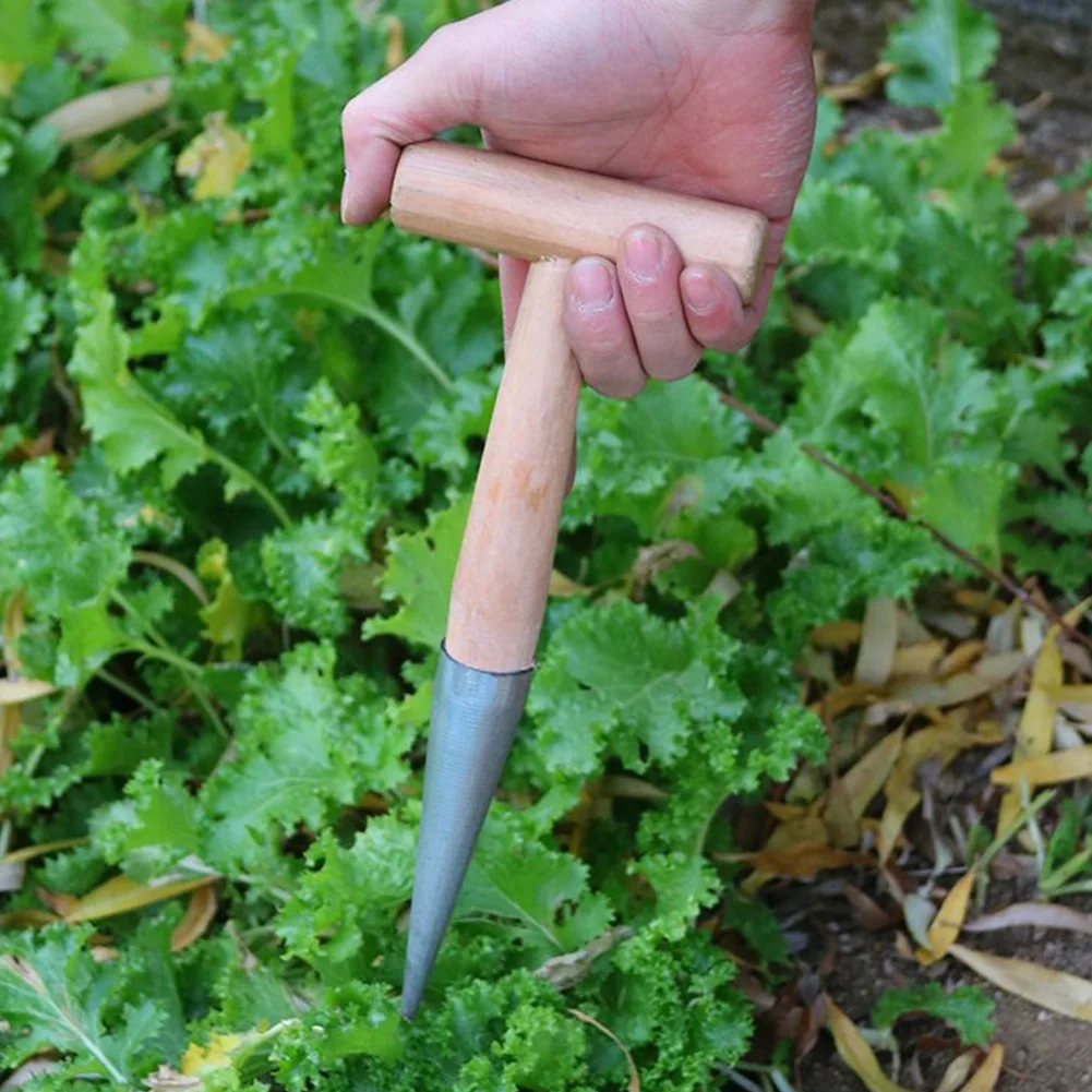 Hand Dibber Stainless Steel Seed Planter Tool With Wood Handle Hole Digger for Transplanting Plants Planting Bulb Digging