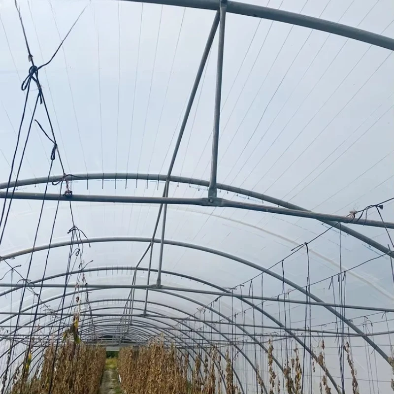 GT Spot Goods im Angebot Kostengünstiges kommerzielles Gewächshaus Landwirtschaftliches Tunnelgewächshaus für den Nahen Osten