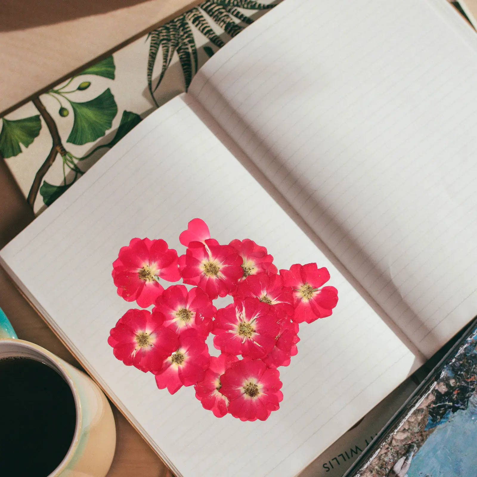 

12Pcs Premium Natural Dried Rose Flowers Pressed Floral Material for DIY Handicrafts Embossed Painting Photo Prop Party