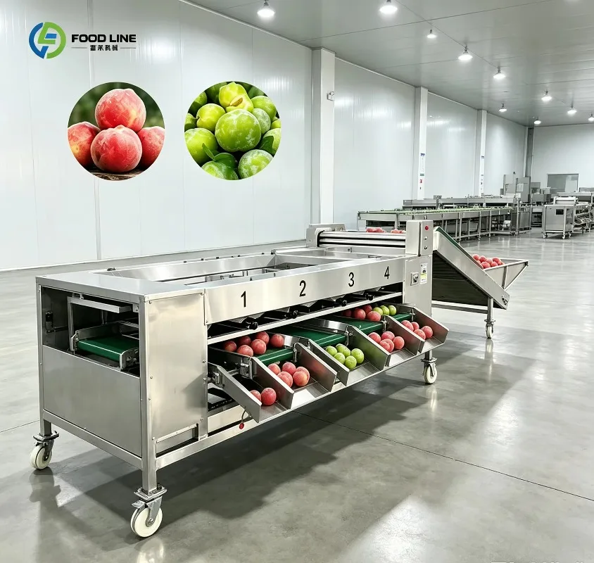FLIndustrial Fruit and Vegetable Sorting Machine Automatic Size Grading Equipment for Various Farm Produce