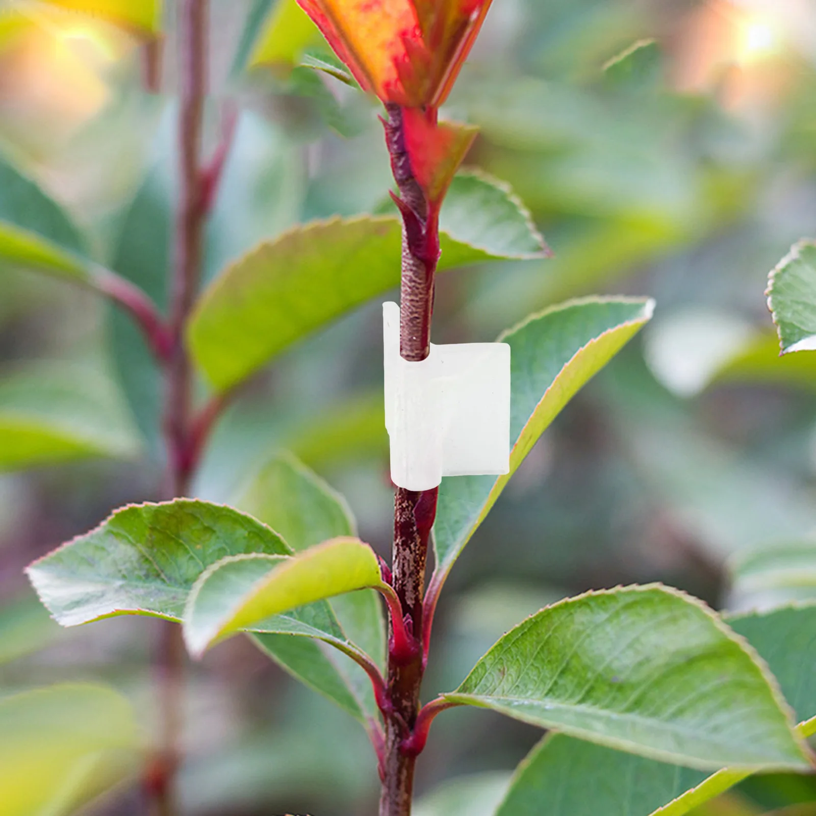 100PCS Garden Grafting Clips Plants Bundled Clamp Plant Grafting Fixing Tools 2mm-4.5mm Garden Supplies Accessories