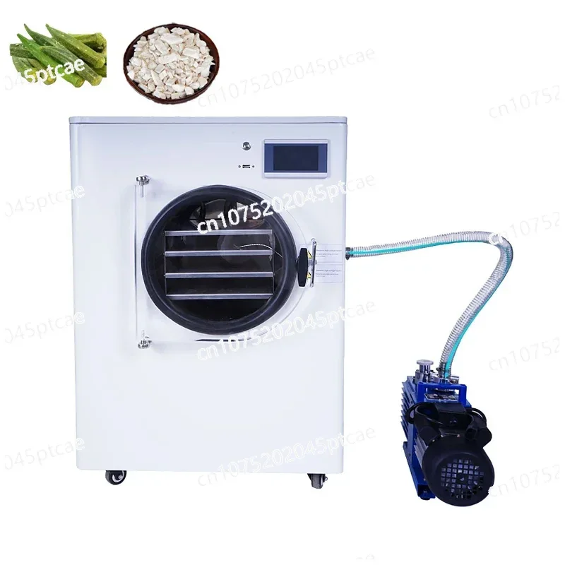 Freez Drying Machine for Banana, Vacuum Freez Dryer, Thailand