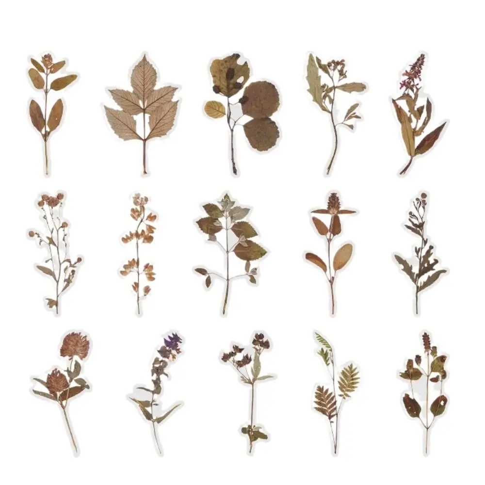 

Цветочная наклейка с цветами, лист, настенный декор, наклейки, сделай сам, декоративная наклейка, граффити, украшение, водостойкая канцелярская наклейка на конверт