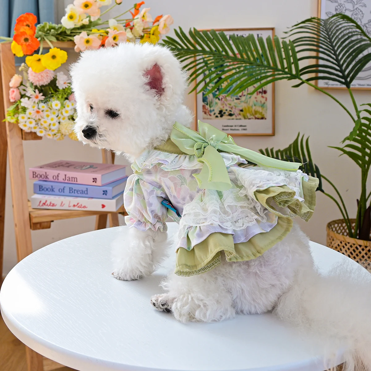 Wizard Of Oz Dress … - image