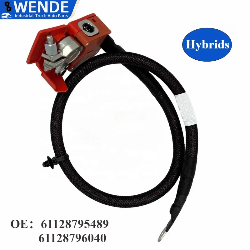 61128795489 61128796040 Positive Battery Fuse Cable Automotive Parts for BMW X5 G05 X7 G07 Hybrids Cable Battery Connector 2018-