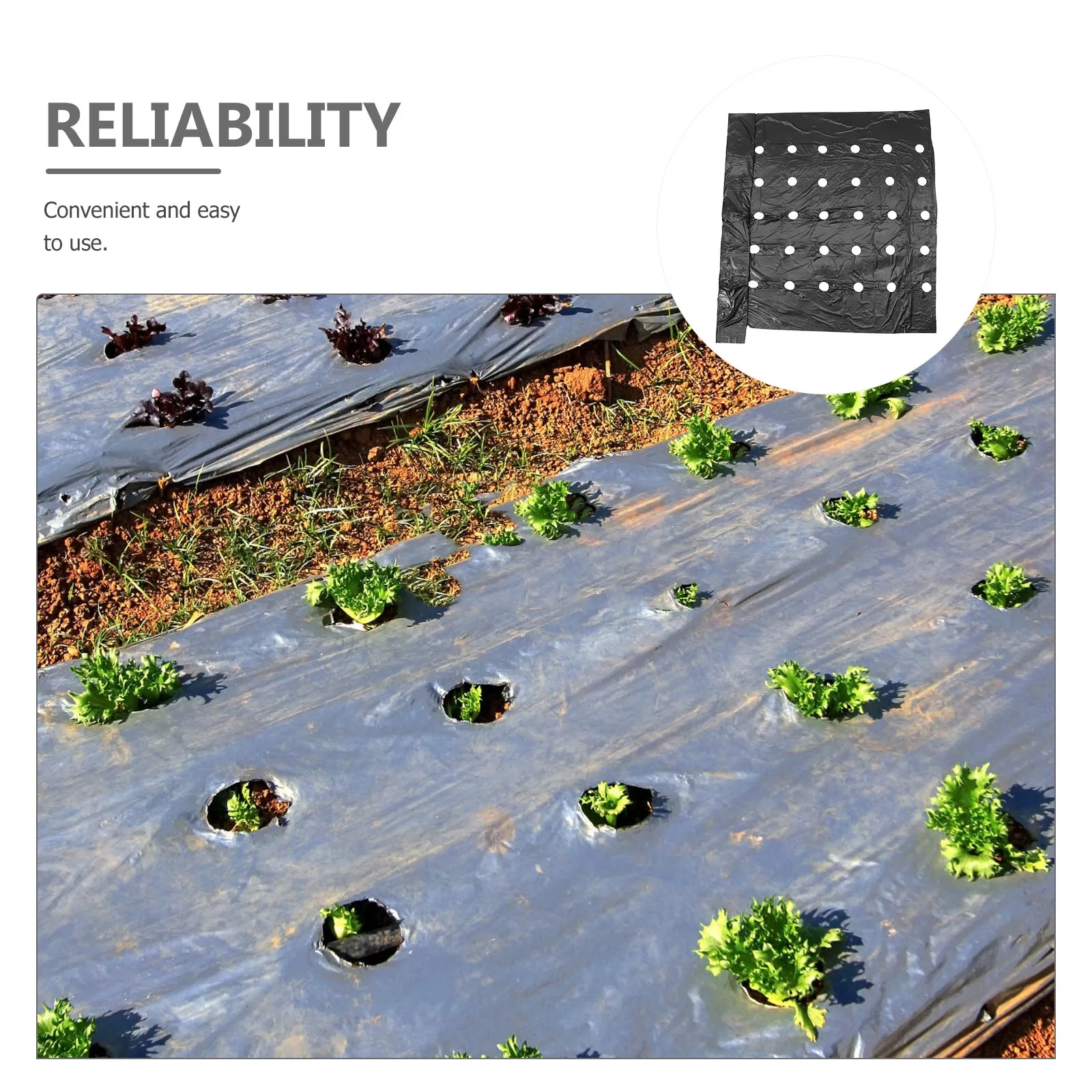 

Versatile Pe Mulching Film Perforated Thermal Insulation For Various Farm Sizes Crop Protection