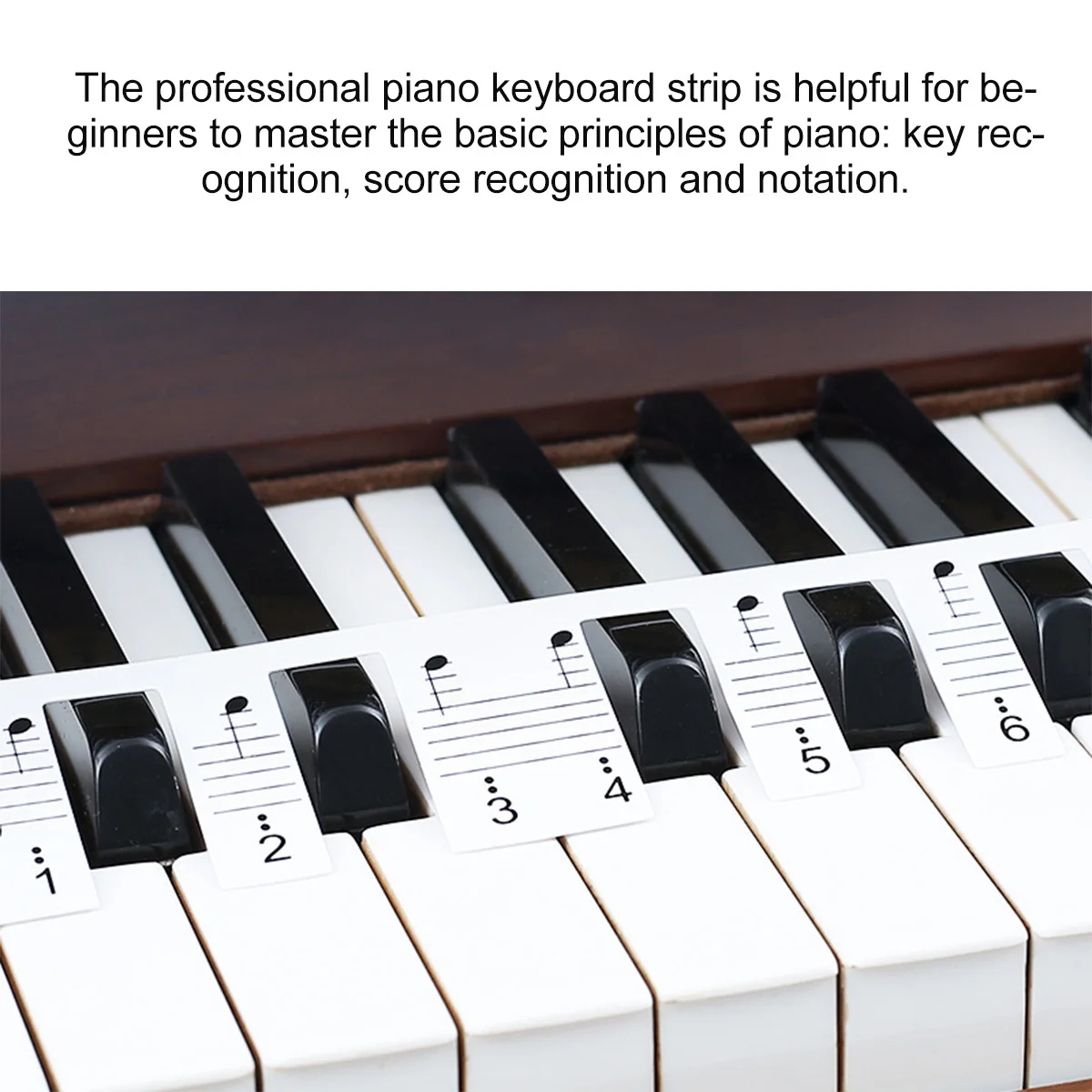 

1Set Piano Keyboard Note Strip Professional Beginner Keyboard Stickers Non-Stick Durable Learning Supplies Electronic Organs