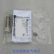 2025.5 New Pepperl …