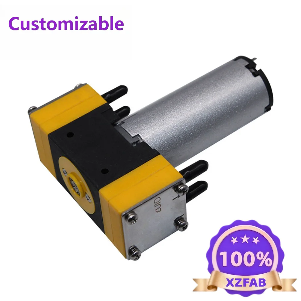 Factory Direct 2026 02-B-DC 12V 24V Mini Diaphragm Double Head Pump Brush Air Pump 4.2L/min Water Pump 600ml/min 0.1MPa 15PSI