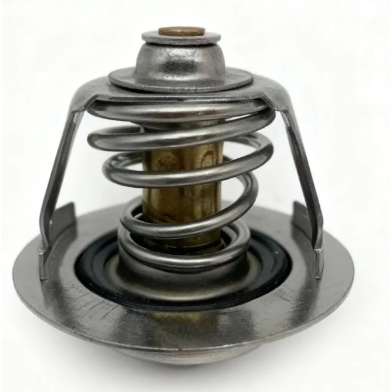 

T50602853135 Thermostat for New Holland Brand New