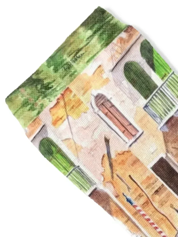 Venice - The Green Shutters Socks essential Soccer hockey compression Designer Man Socks Women's