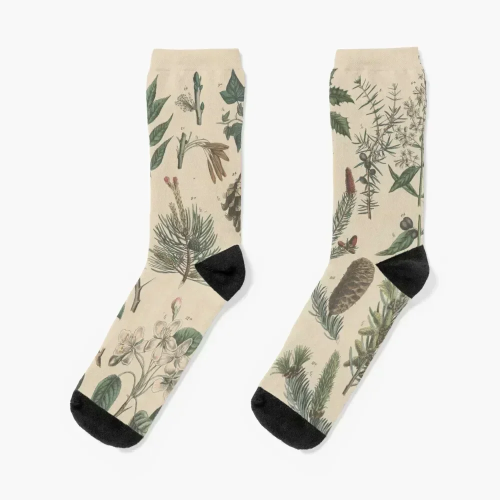 

Winter Botanical Socks Run Christmas valentine gift ideas crazy Designer Man Socks Women's