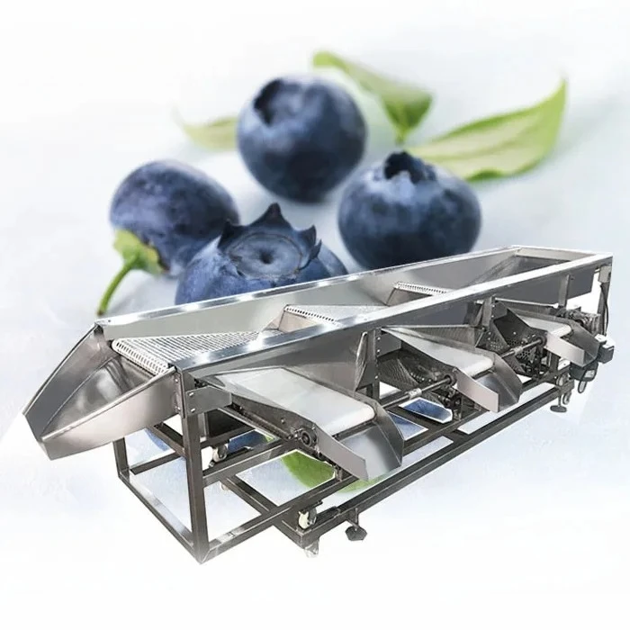 Fresh Blueberry Size Diameter Grading Machine/ Mesh Belt Blueberry Sorting Machine