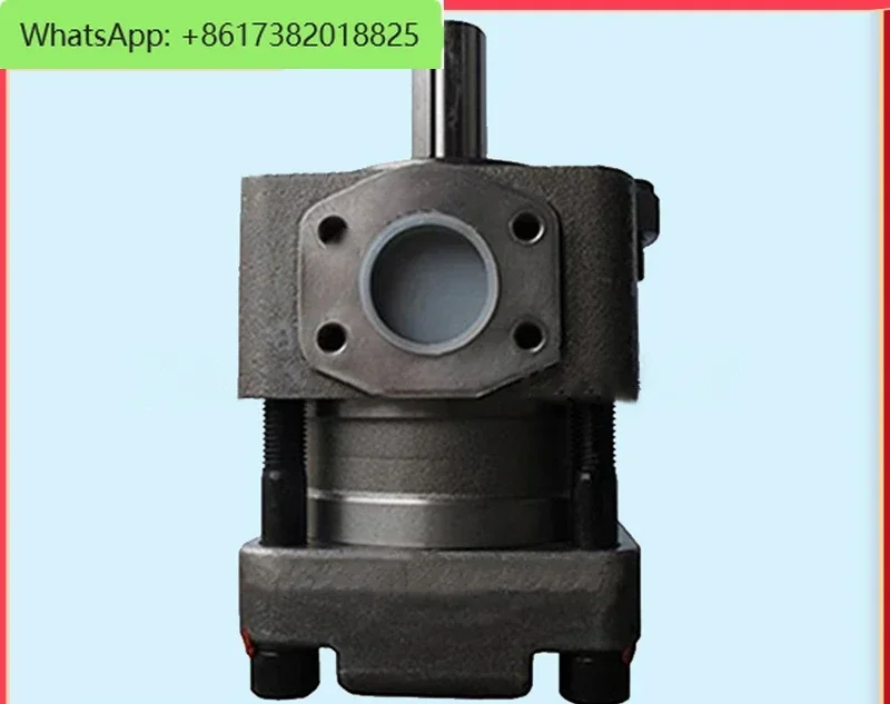 Bomba de engrenagem dupla QT5142-125-31.5 Bomba de engrenagem interna