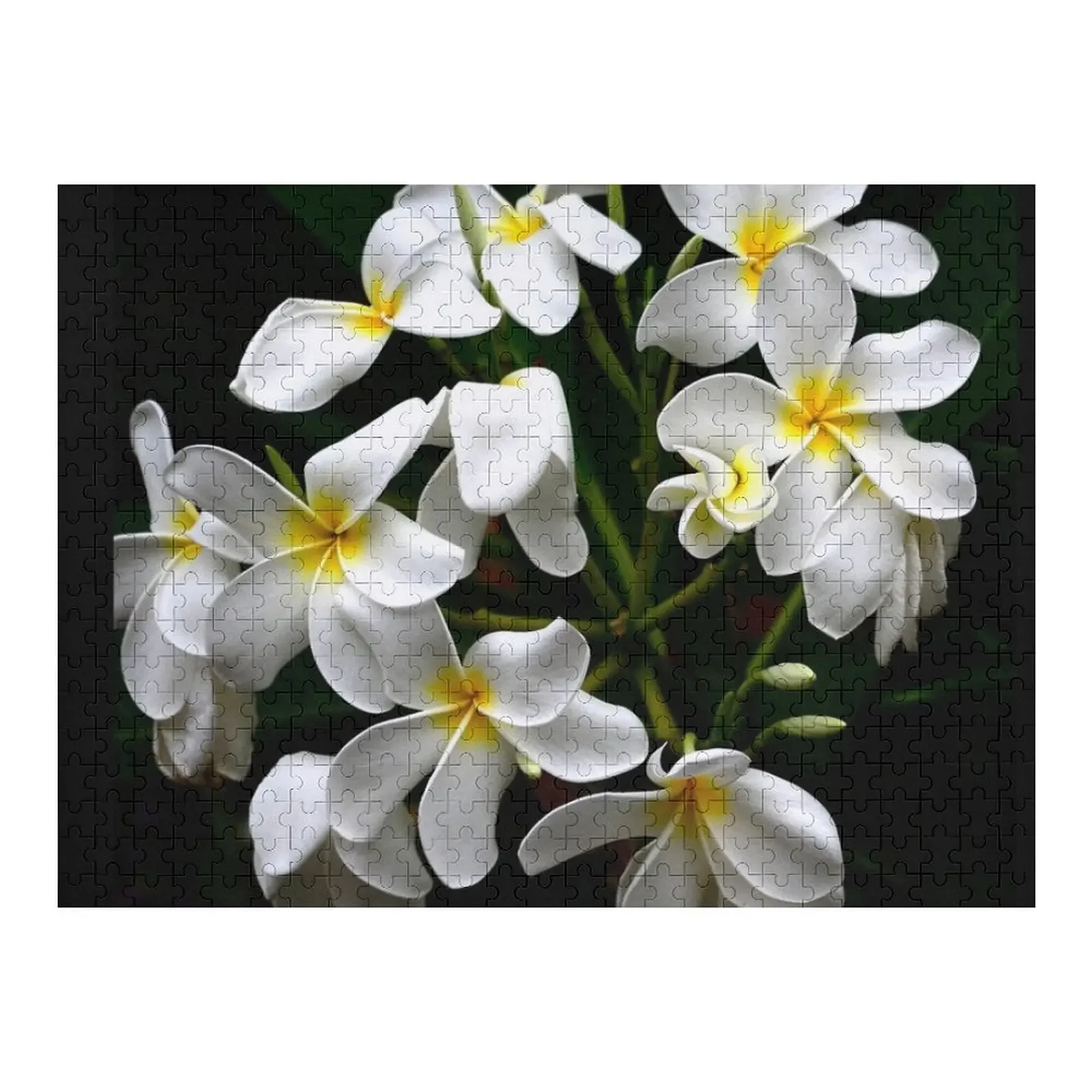 جزيرة هاواي الاستوائية زهور بلوميريا الفن صور بازل قطع خشبية للبالغين طفل اللعب لغز