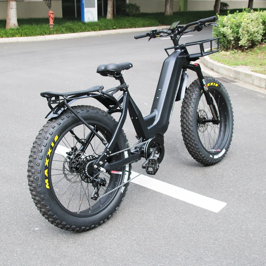 Leili Newest Step Thru Electric Mountain bike 48V 1000W Mid Drive Ebike Fat Bicycle with 30AH Battery