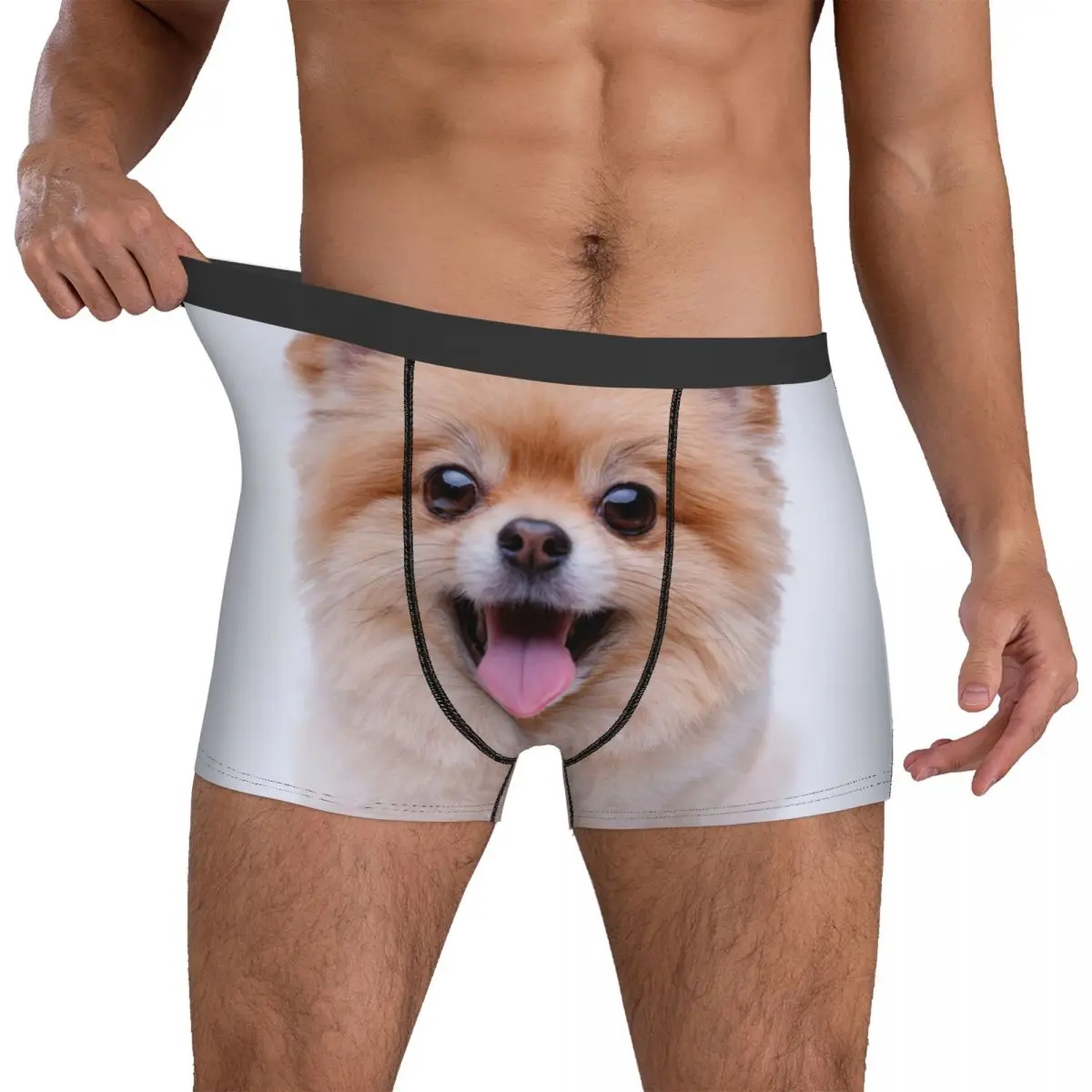 

Pomeranian Men's Boxer Briefs Shorts Men Underpants Cartoon Anime Funny Men's Panties Soft Underwear For Men