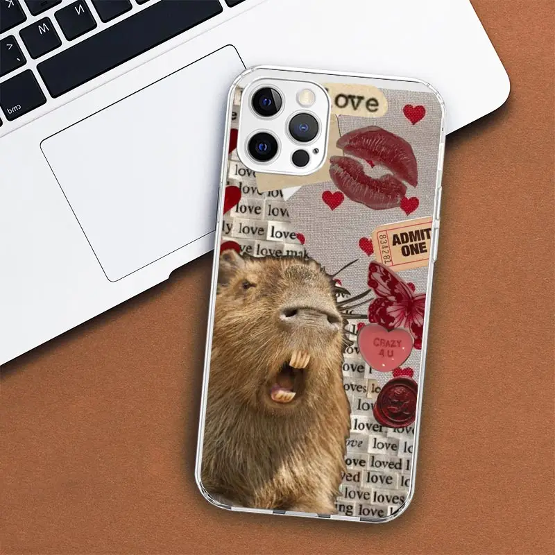 Funny Capybara Phone Case For Apple iPhone 11 12 13 14 15 16 Pro Max 7 X XS 8 Plus + Mini SE Customized Print Soft Cover For App