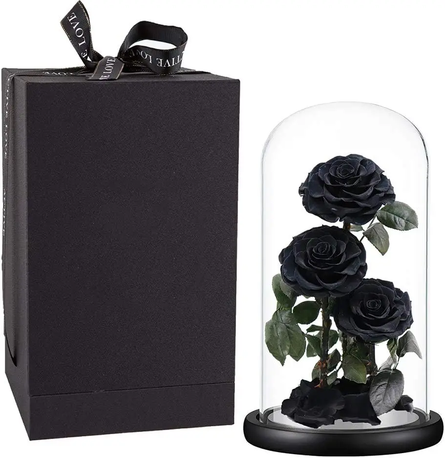 

Handmade Preserved Roses in Glass Dome, Black Never Withered, Perfect Birthday Gift for Her (13 inch)