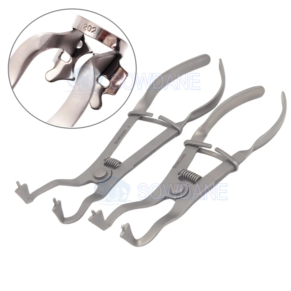 B Lab Ivory Forceps…