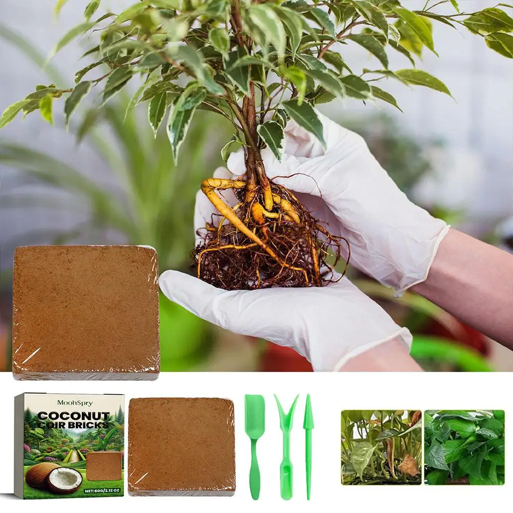 High Quality Natural Organic Coconut Shell Animal And Plant Feeding Fiber Peat Soilless Potting Soil Garden Coconut Shell Bricks