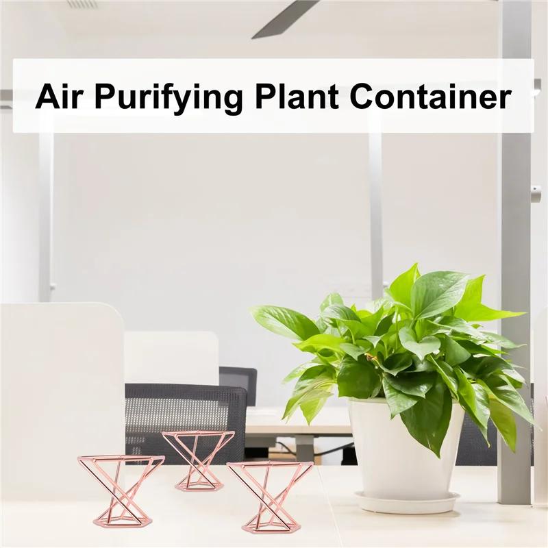 RR-Pack 5 حامل نباتات الهواء أصحاب نباتات الهواء Tillandsias عرض حاوية نبات تنقية الهواء حامل السرخس الهوائي