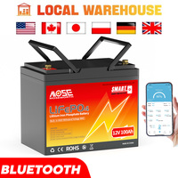 LiFePO4 Battery 12V 100Ah 12.8V Lithium Bluetooth BMS 6000+ Cycles Grade A Rechargeable Batteries Bateria For RV Boat EU No Tax