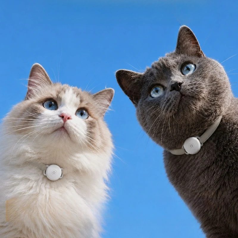 Pet locator kitten dog anti-lost positioning artifact tracking collar neck ring special real-time precision Beidou super long