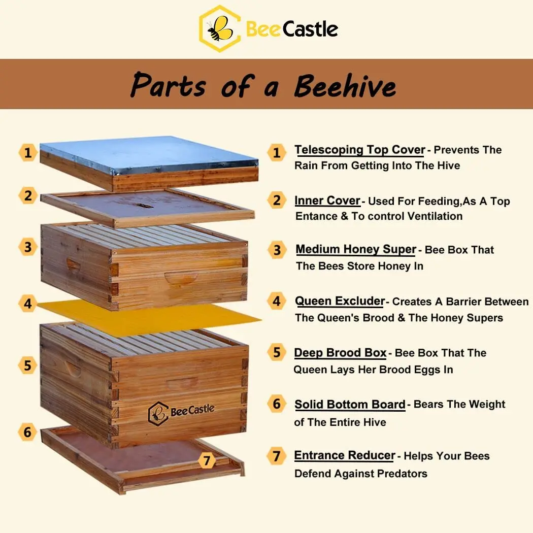 10-Frames Complete Beehive Kit, 100% Beeswax Coated Bee Hive Includes Beehive Frames and Beeswax Coated Foundation Sheet